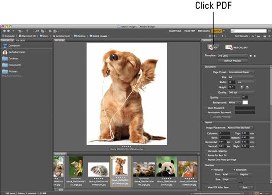 Comment créer des PDF à partir de fichiers présentations CS6 Photoshop dans pont