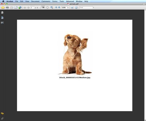 Comment créer des PDF à partir de fichiers présentations CS6 Photoshop dans pont