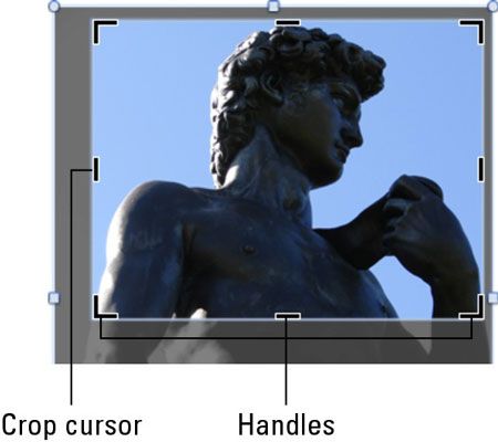 Photographie - Comment recadrer une image avec le ruban dans Office 2011 pour Mac