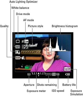 Photographie - Comment personnaliser les données en direct vue de prise de vue sur un EOS 60D de Canon affichage