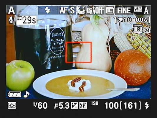 Photographie - Comment personnaliser l'affichage de la vue en direct sur votre Nikon D3100