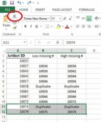 Comment couper et coller dans Excel 2,013