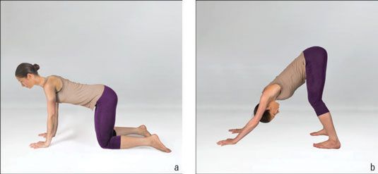 Photographie - Comment faire face vers le bas la posture de chien (adhomukha de shvanasana) dans le yoga