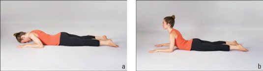 Photographie - Comment faire le cobra i, ii et iii postures de yoga