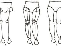 Comment dessiner les jambes de la mode prêt-
