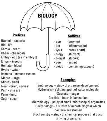 Sachant préfixes et suffixes clés sous l'égide de la biologie peut vous aider à comprendre beaucoup de Biolog