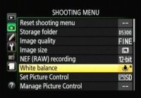 Comment affiner les réglages de balance des blancs sur votre D5300 Nikon
