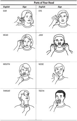 Photographie - Comment indiquer les parties du corps en langue des signes américaine