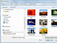 Photographie - Comment insérer des images à partir de fichiers graphiques dans Excel 2010
