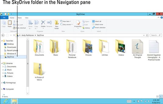 Photographie - Comment installer et utiliser SkyDrive pour Windows sur votre surface