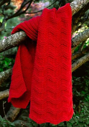 Photographie - Comment tricoter une écharpe festonnée