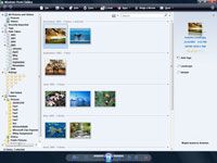 Photographie - Comment déplacer un fichier ou un dossier dans Windows Vista
