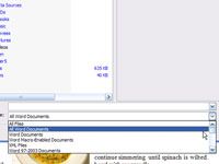 Comment ouvrir des documents dans d'autres formats dans Word 2007