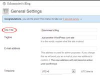 Comment personnaliser votre blog wordpress