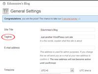 Comment personnaliser votre blog wordpress