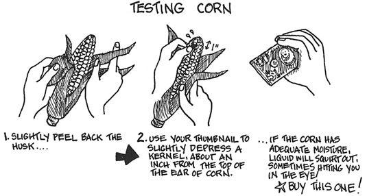 Comment tester et sélectionner le maïs en conserve.