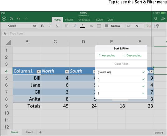 Photographie - Comment présenter les données dans un tableau Excel sur l'iPad