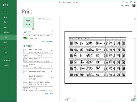 Photographie - Comment imprimer dans Excel 2013