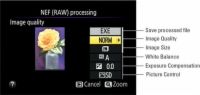 Comment traiter les images brutes dans votre Nikon D5300
