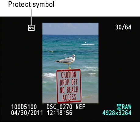 Photographie - Comment protéger des photos sur un Nikon D3100 ou D5100