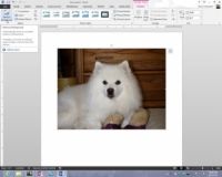 Photographie - Comment faire pour supprimer l'arrière-plan d'une image graphique dans Office 2013