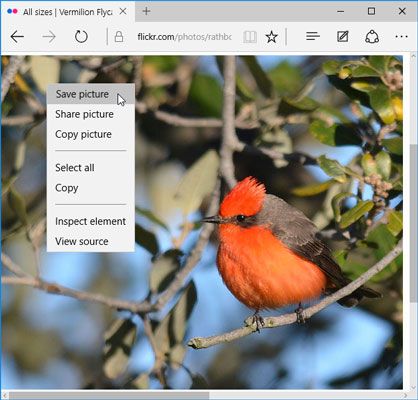 Photographie - Comment enregistrer des informations et des fichiers de l'Internet dans Windows 10