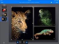 Photographie - Comment définir construit dans Keynote pour iPad