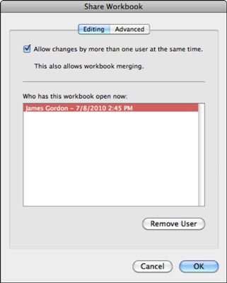 Photographie - Comment partager un classeur dans Excel 2011 pour Mac