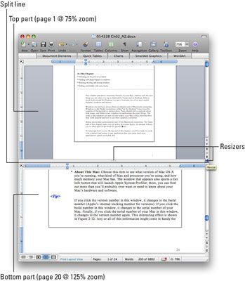 Photographie - Comment diviser une fenêtre dans Word 2008 pour Mac