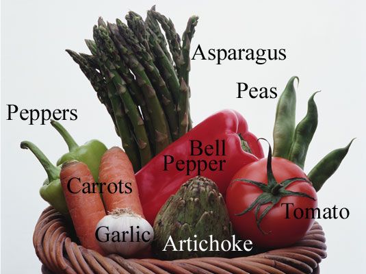 Comment conserver les légumes frais