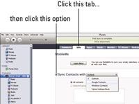 Comment synchroniser les contacts avec votre iPad en utilisant iTunes