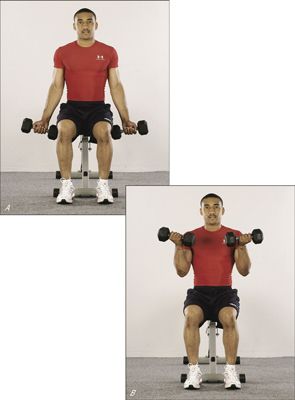 Photographie - Comment tonifier vos biceps avec des boucles assis