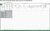 Comment utiliser autofilter sur un tableau Excel