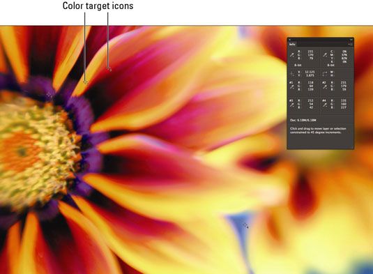 Photographie - Comment utiliser l'outil couleur de l'échantillonneur de Photoshop CS6