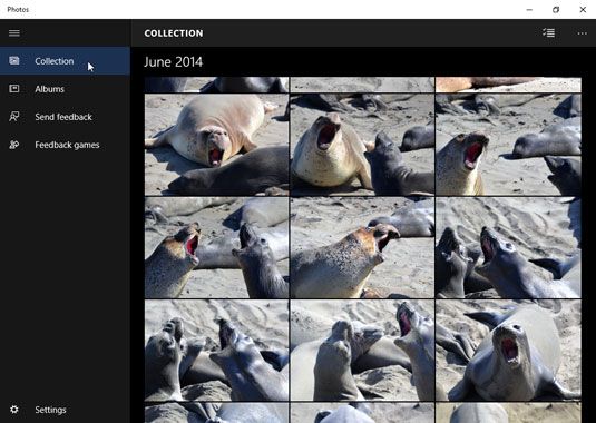 Photographie - Comment faire pour afficher votre collection de photos avec les fenêtres 10 photos appli