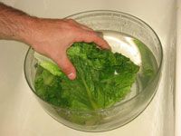 Comment laver et stocker les légumes frais