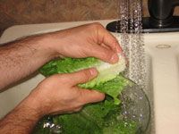 Comment laver et stocker les légumes frais