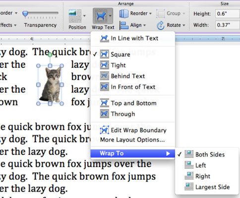 Photographie - Comment placer un texte autour des objets dans Word 2011 pour Mac