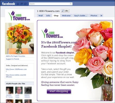 Photographie - Comment vous pouvez augmenter des affaires avec une page facebook