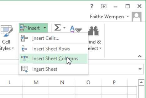 Photographie - Insérer et supprimer des lignes et des colonnes dans Excel 2013