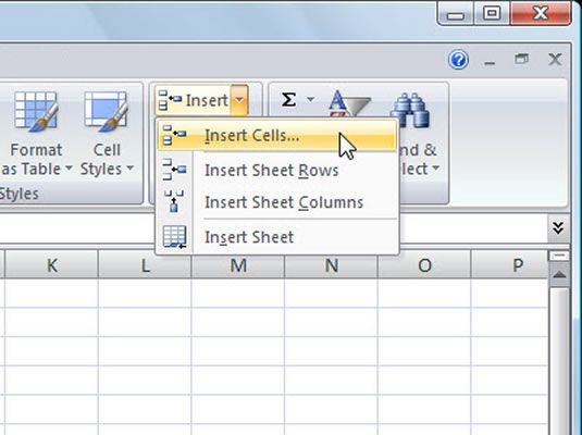 Photographie - Insertion de cellules, des lignes ou des colonnes dans Excel 2007