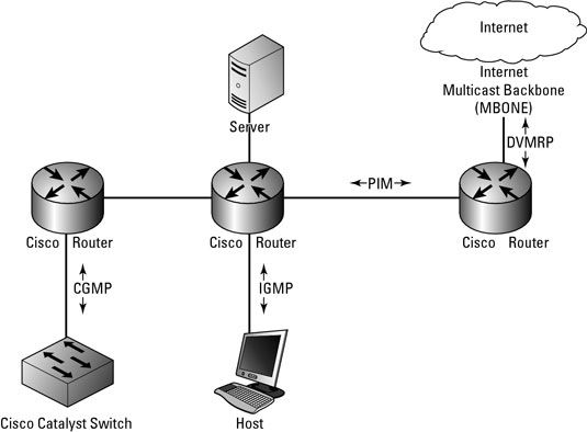 Photographie - Routage IP multicast bases de protocole