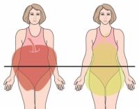Photographie - Connaissez votre type de corps pour commencer à perdre la graisse du ventre