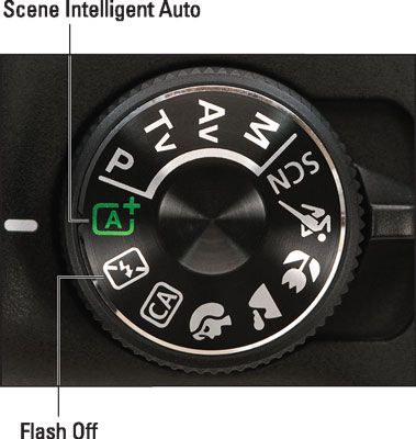 Réglez le sélecteur de mode sur Auto ou Auto Flash désactivé pour le point & # 8208 et # 8208 &-shoot simplicité.