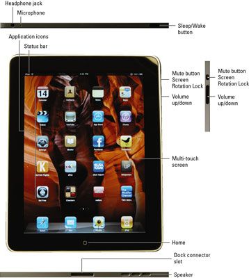 Photographie - En regardant les caractéristiques externes de l'iPad
