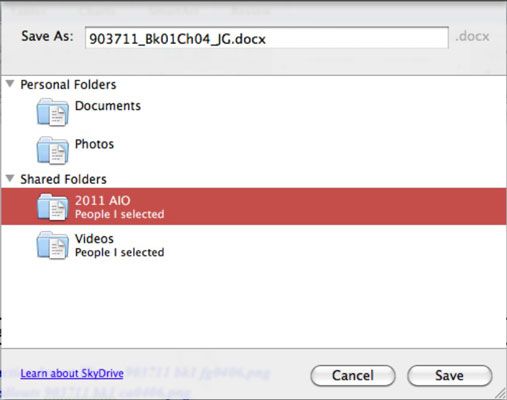 Photographie - Gestion des fichiers avec SkyDrive dans Office 2011 pour Mac