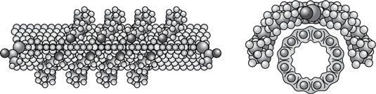 La fonctionnalisation d'un nanotube de carbone par molécule pour attacher un à l'aide d'une liaison de van der Waals.