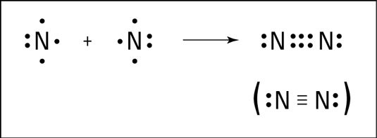 Formation d'une liaison triple de l'azote.