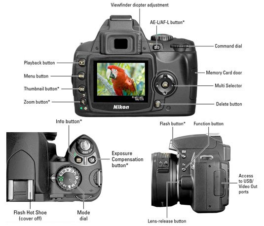 Photographie - Nikon D40 / D40x pour les nuls
