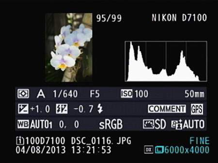 Photographie - Mode Vue d'ensemble sur votre D7100 Nikon